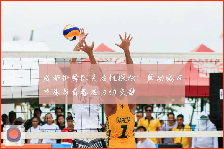 成都街舞队灵活性探秘：舞动城市节奏与青春活力的交融
