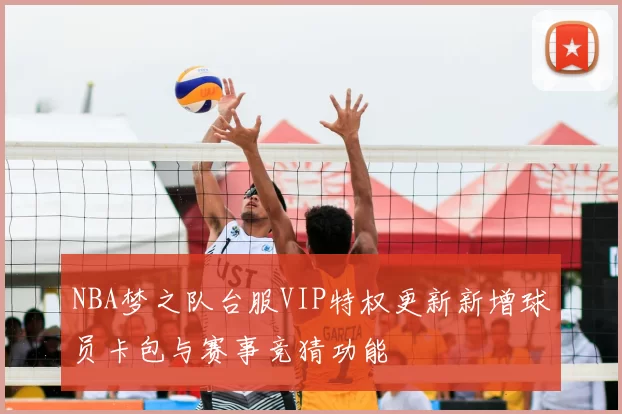 NBA梦之队台服VIP特权更新新增球员卡包与赛事竞猜功能