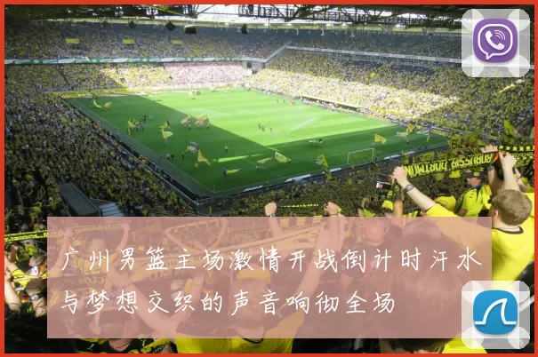 广州男篮主场激情开战倒计时汗水与梦想交织的声音响彻全场