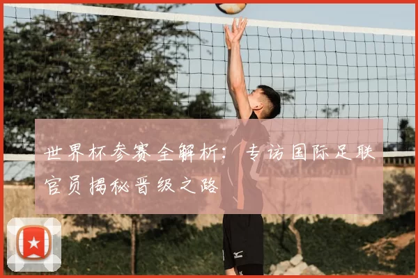 世界杯参赛全解析:专访国际足联官员揭秘晋级之路