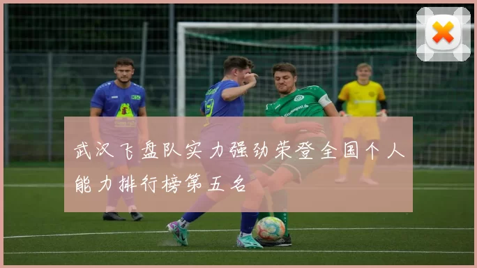 武汉飞盘队实力强劲荣登全国个人能力排行榜第五名