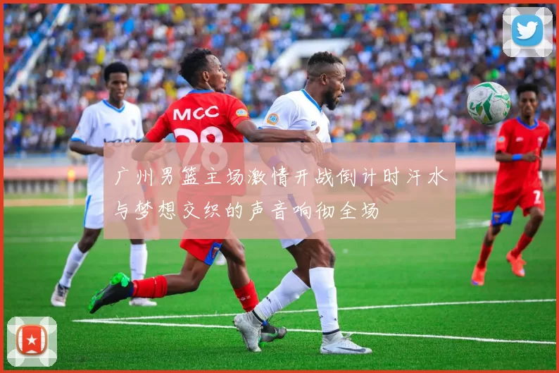 广州男篮主场激情开战倒计时汗水与梦想交织的声音响彻全场