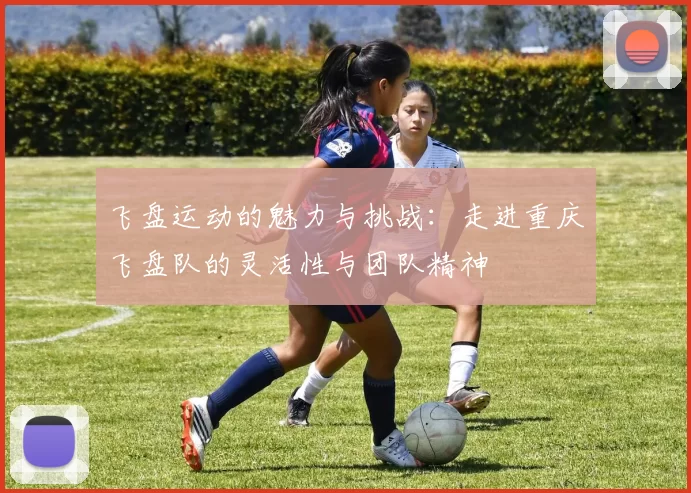 飞盘运动的魅力与挑战:走进重庆飞盘队的灵活性与团队精神