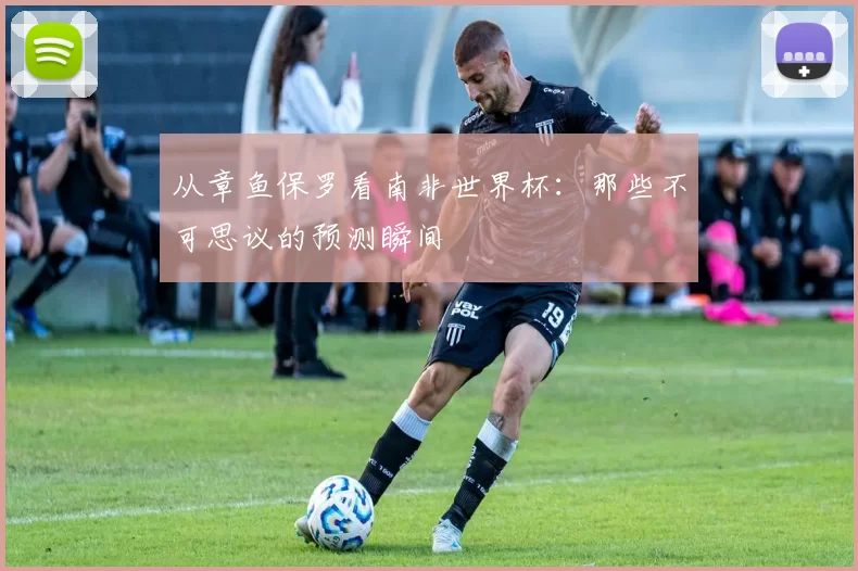 从章鱼保罗看南非世界杯:那些不可思议的预测瞬间