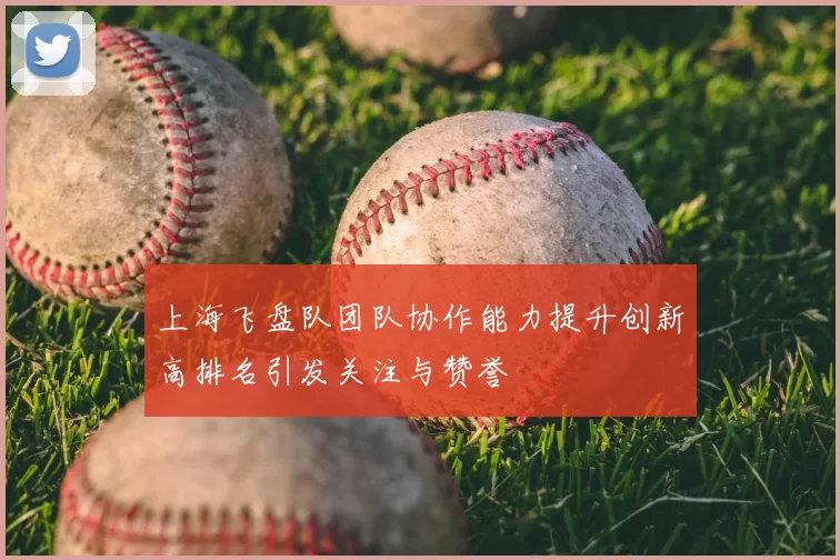 上海飞盘队团队协作能力提升创新高排名引发关注与赞誉