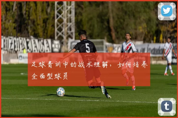 足球青训中的战术理解，如何培养全面型球员