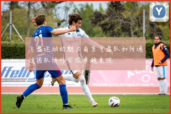 飞盘运动的魅力南京飞盘队如何通过团队协作实现卓越表现