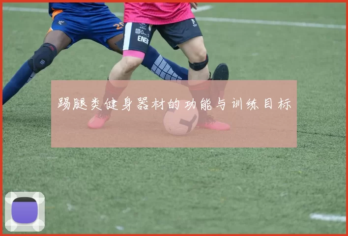 踢腿类健身器材的功能与训练目标
