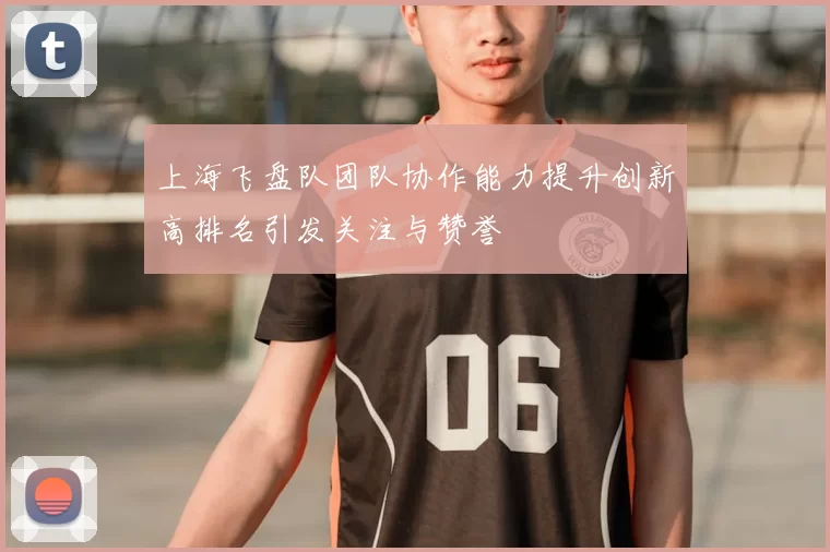 上海飞盘队团队协作能力提升创新高排名引发关注与赞誉