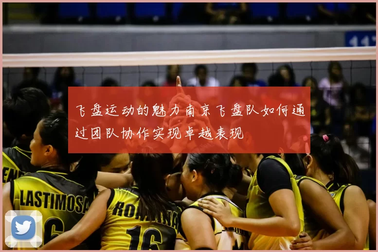 飞盘运动的魅力南京飞盘队如何通过团队协作实现卓越表现