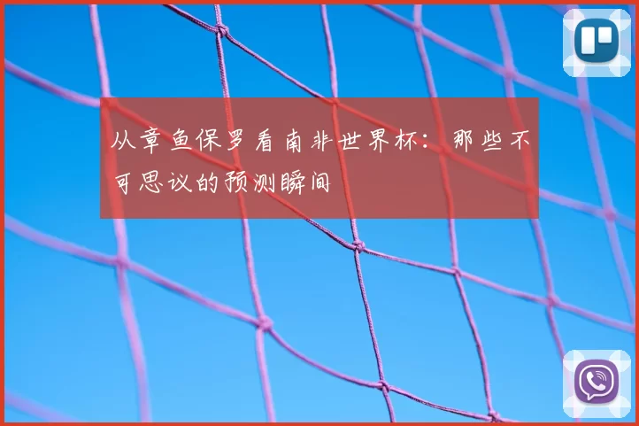 从章鱼保罗看南非世界杯:那些不可思议的预测瞬间