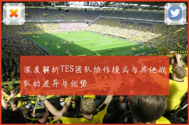 深度解析TES团队协作模式与其他战队的差异与优势