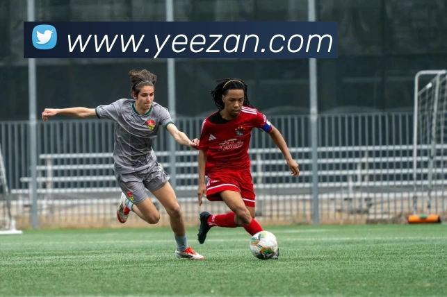 多媒体互动体验